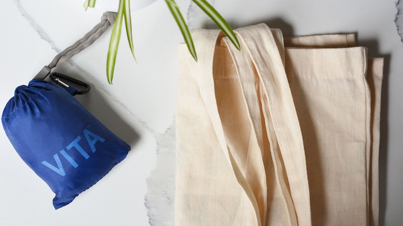 A flatly image of a zero waste compact shopping bag, a linen shopping tote and part of a spider plant.