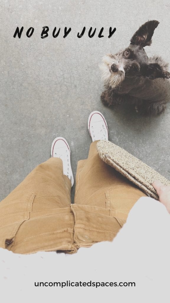 A look down photo of my brown pants and white converse sneakers. I am holing a tan straw purse. My brown miniature schnauzer is looking up at me. 