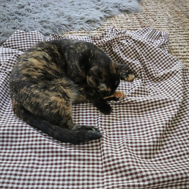 My tortoiseshell cat laying on the almost completed dress. I still have to hem it at this point.